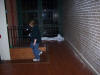 orbs_1.JPG (783944 bytes)
