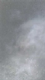 look real close at this picture, just above 
       the weeds and off to the right of the center of the picture you get a faint glimpse 
       of a figure walking. This was not one of our investigators or friends of the family. 
       Could this be one of the previous owners?